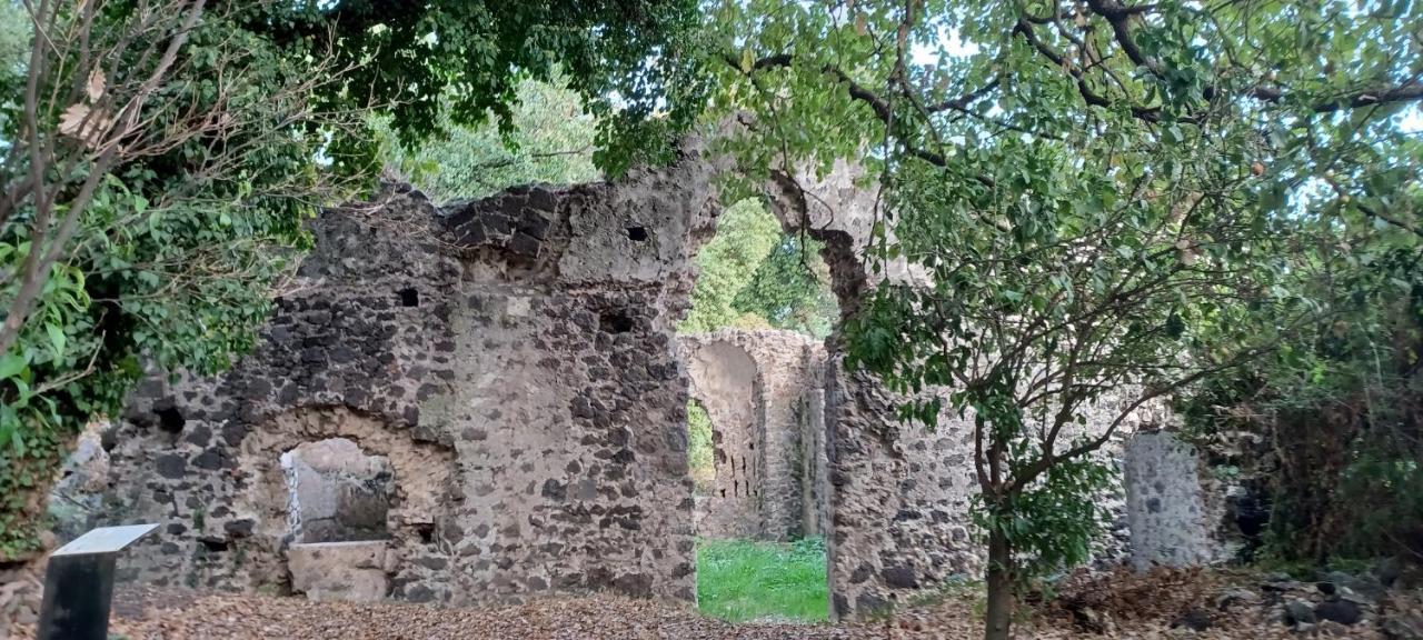 Rusina Villa Santa Venerina Exteriör bild